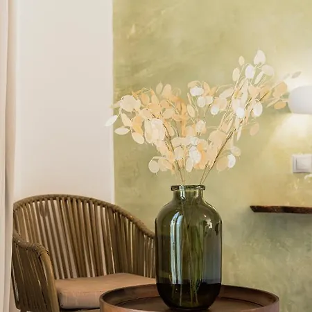Aparthotel Olive Grove Beachfront & Seaview (adults Only)