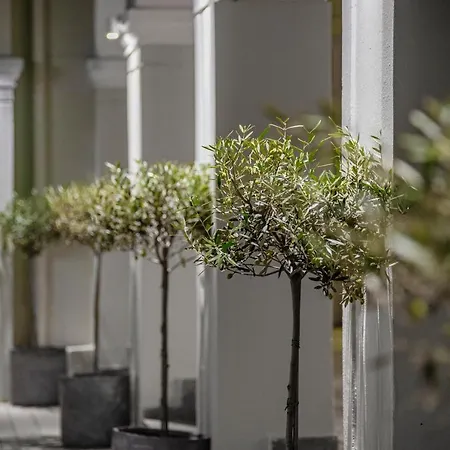 Olive Grove Beachfront & Seaview (adults Only) 公寓式酒店 3*