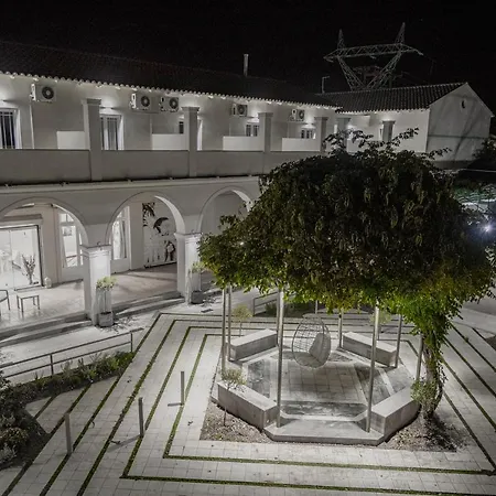 Olive Grove Beachfront & Seaview (adults Only) Aparthotel