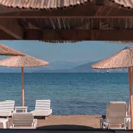 Olive Grove Beachfront & Seaview (adults Only) Lägenhetshotell Kávos