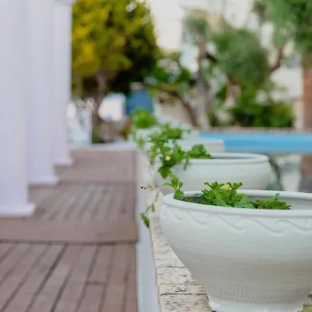 Olive Grove Beachfront & Seaview (adults Only) 3* Kavos