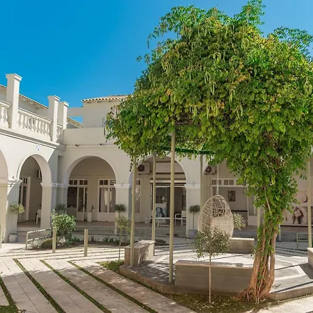 Olive Grove Beachfront & Seaview (adults Only) Aparthotel Kávos
